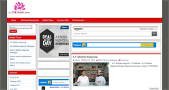 Desktop Screenshot of nlginfo.com